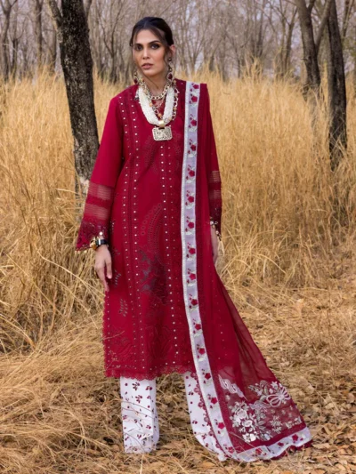 SHAMS-A - Saira Shakira